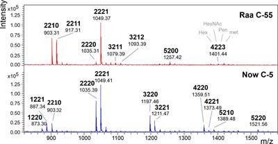 The Structural Difference of Isobaric N-Glycans of Two Microalgae Samples Reveals Taxonomic Distance